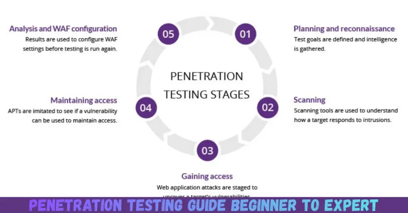 penetration testing guide beginner to expert