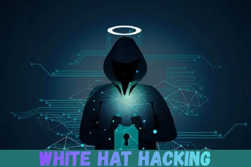 white hat hacking